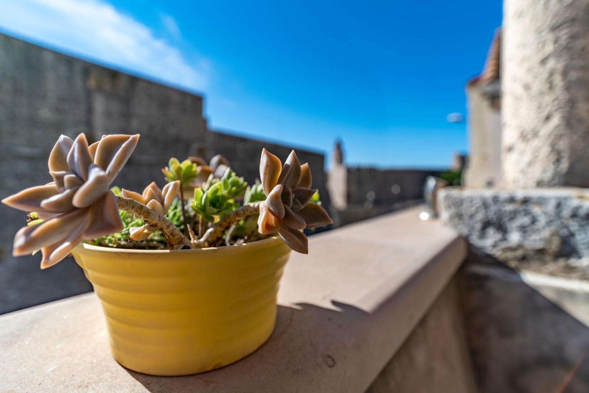 Vecchia Appartement Dubrovnik